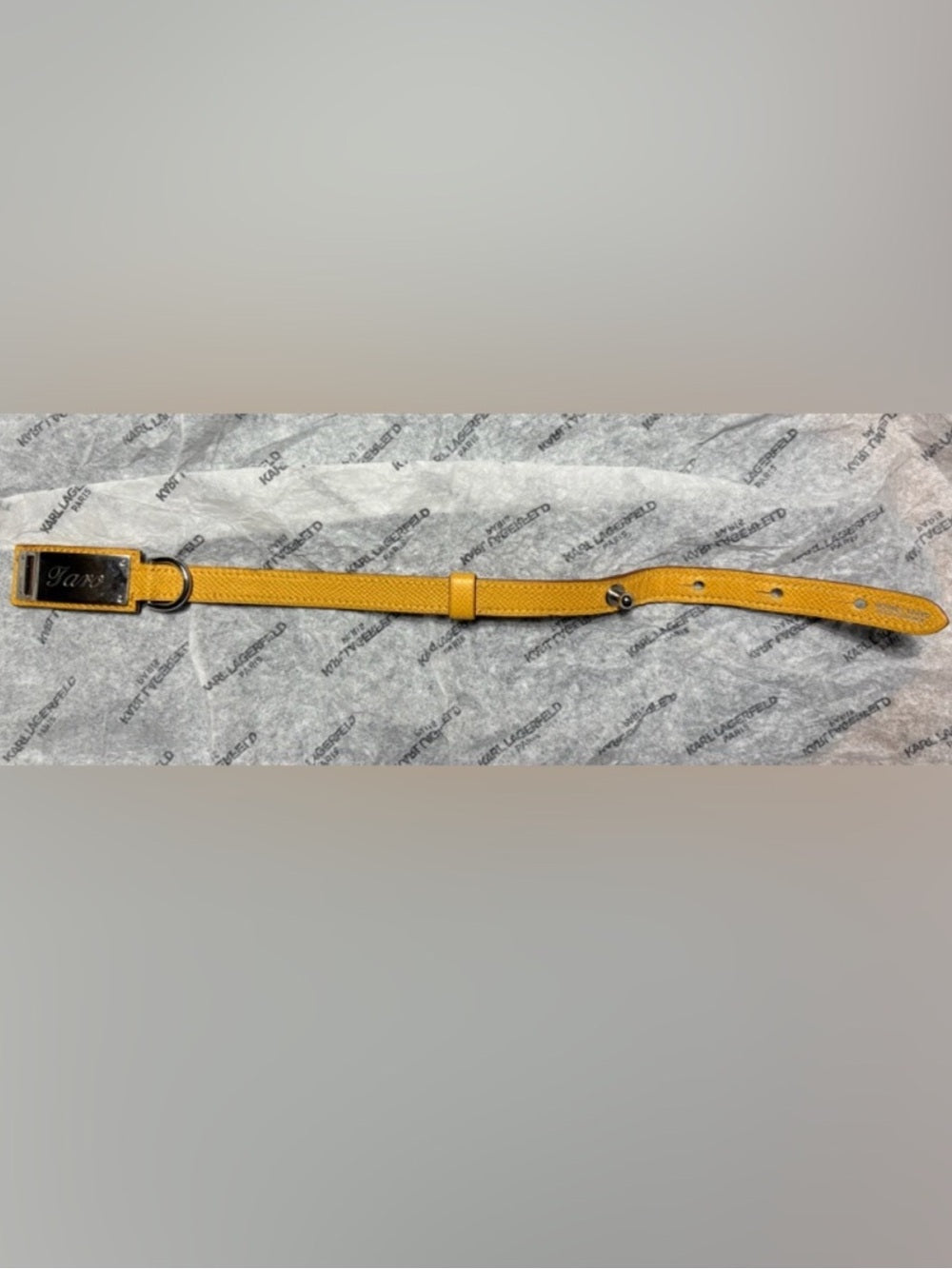 Hermès Yellow Epsom Leather Collar/ Bracelet PM | Palladium COA Authenticated | listing photo 8
