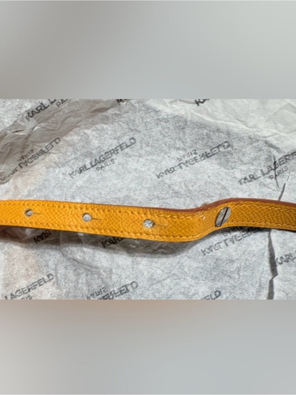 Hermès Yellow Epsom Leather Collar/ Bracelet PM | Palladium COA Authenticated | listing photo 9
